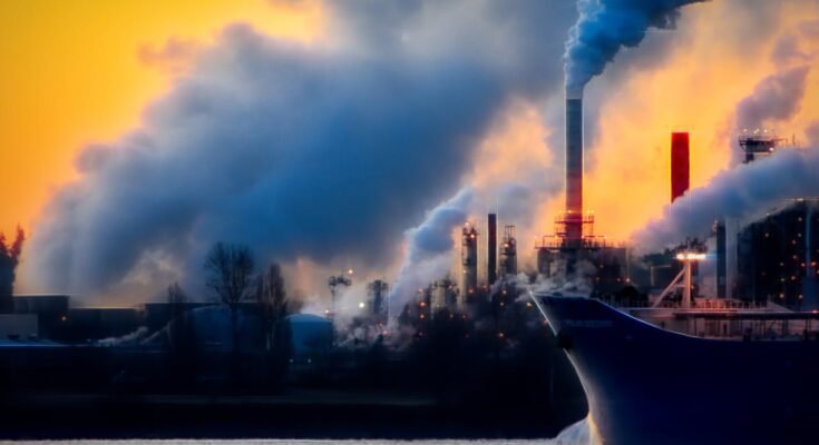 The Importance of the Environment: A Call for Collective Responsibility