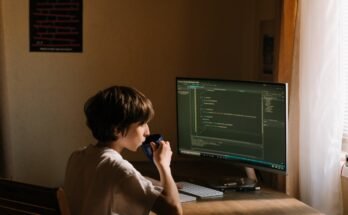 Software or Computing Environment: An Overview