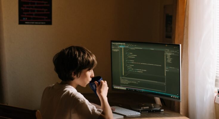 Software or Computing Environment: An Overview