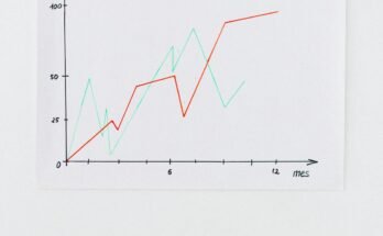 Increased Employment Opportunities: A Path to Economic Growth and Stability