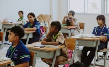 Understanding the Development Environment: The Backbone of Software Development