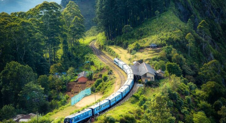 The Environment: A Fragile Balance We Must Protect