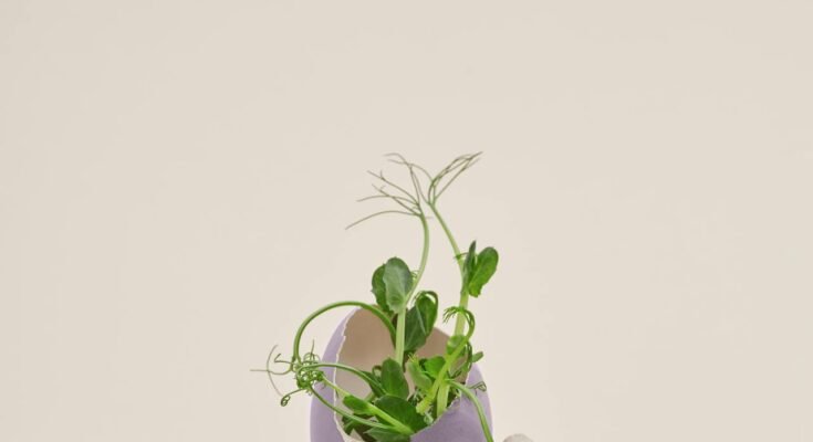 The Concept of the Environment: A Multifaceted Perspective
