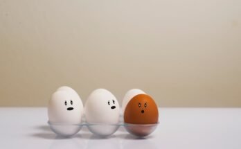 Understanding the Versatility of the Term “Can” Across Different Contexts