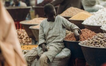 The Impact of Social Conditions and Cultural Factors on Human Interactions and Behaviors