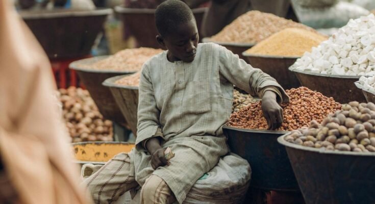 The Impact of Social Conditions and Cultural Factors on Human Interactions and Behaviors