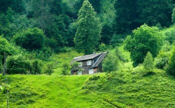 Built Environment: Shaping the Relationship Between Humans and Nature
