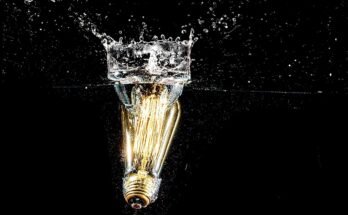 Creative Expression in Business: Fueling Innovation and Unique Ideas