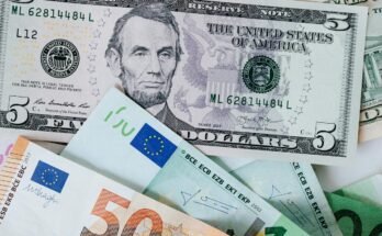 Businesses: Organizations Aiming to Provide Value and Make a Profit