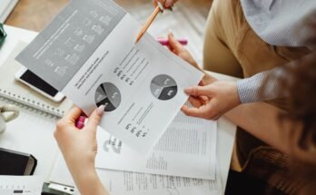 Larger Organizations with Many Owners or Shareholders: A Comprehensive Overview