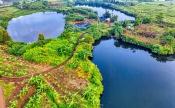 Land, Climate, and Natural Resources: The Cornerstones of Our Planet’s Ecosystems