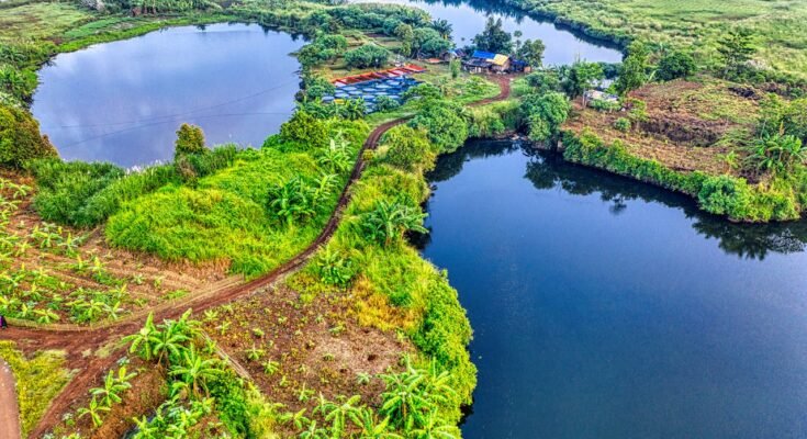 Land, Climate, and Natural Resources: The Cornerstones of Our Planet’s Ecosystems